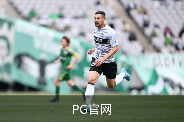 PG官网公司简介